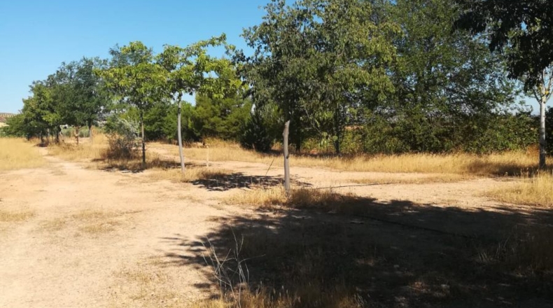 Ciudad Real - Valdepeñas - 12300m2