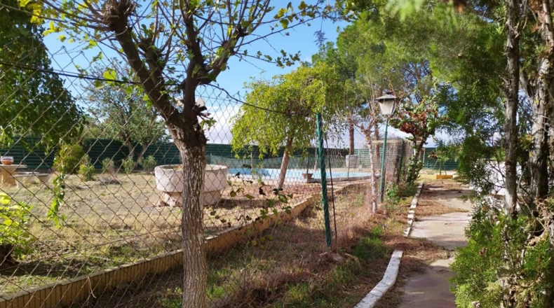 Ciudad Real - Ciudad Real - 3000m2
