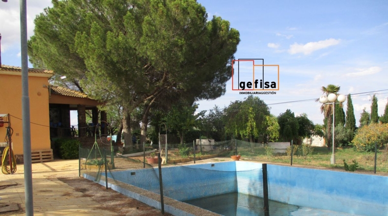Ciudad Real - Ciudad Real - 3000m2