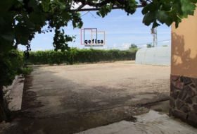 Foto 19