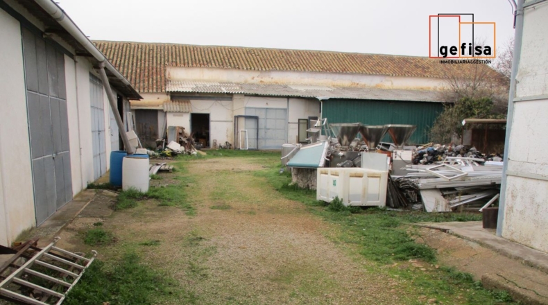 Ciudad Real - Valdepeñas - 15000m2