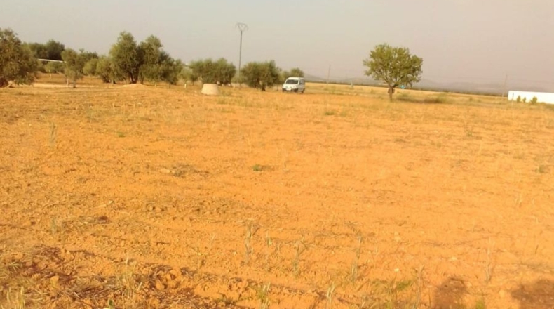 Ciudad Real - Valdepeñas - 20990m2