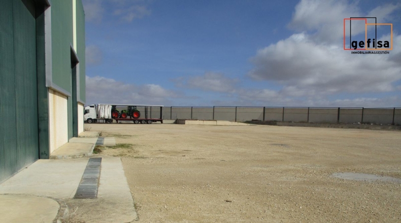 Ciudad Real - Valdepeñas - 20000m2