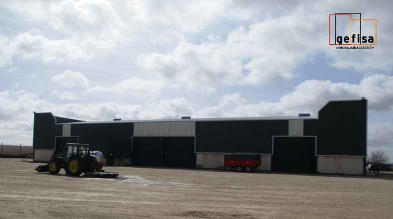 Ciudad Real - Valdepeñas - 20000m2