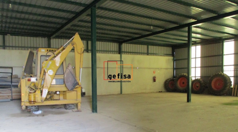 Ciudad Real - Valdepeñas - 20000m2