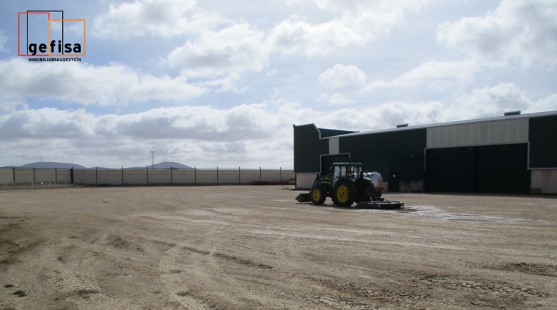 Ciudad Real - Valdepeñas - 20000m2