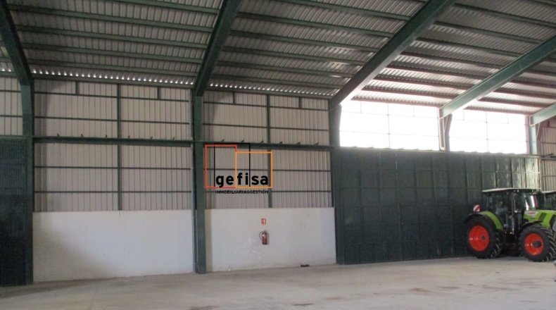 Ciudad Real - Valdepeñas - 20000m2