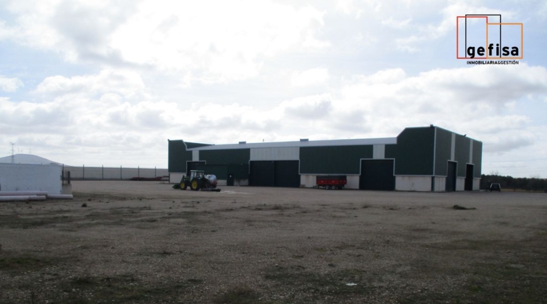 Ciudad Real - Valdepeñas - 20000m2