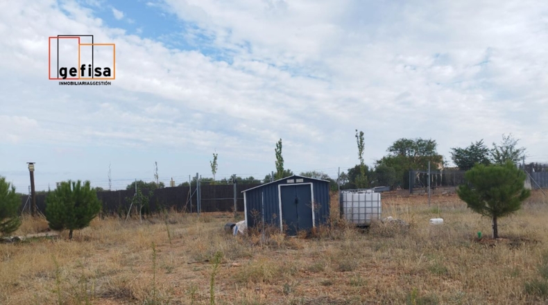 Ciudad Real - San Carlos del Valle - 14000m2