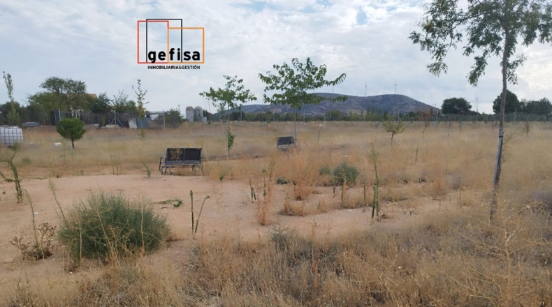 Ciudad Real - San Carlos del Valle - 14000m2
