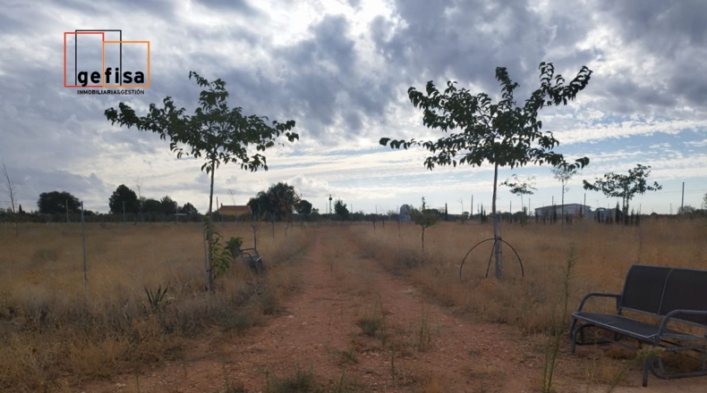Ciudad Real - San Carlos del Valle - 14000m2