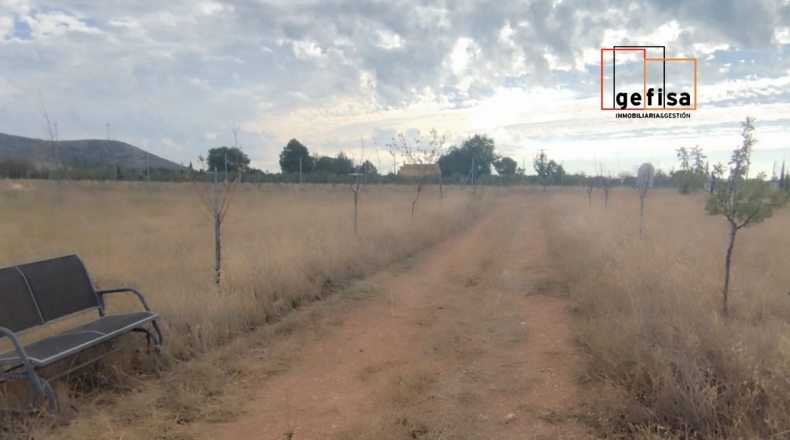 Ciudad Real - San Carlos del Valle - 14000m2