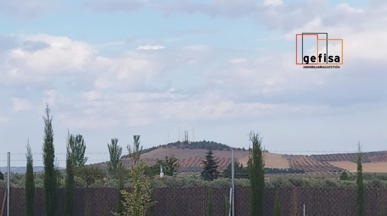 Ciudad Real - San Carlos del Valle - 14000m2