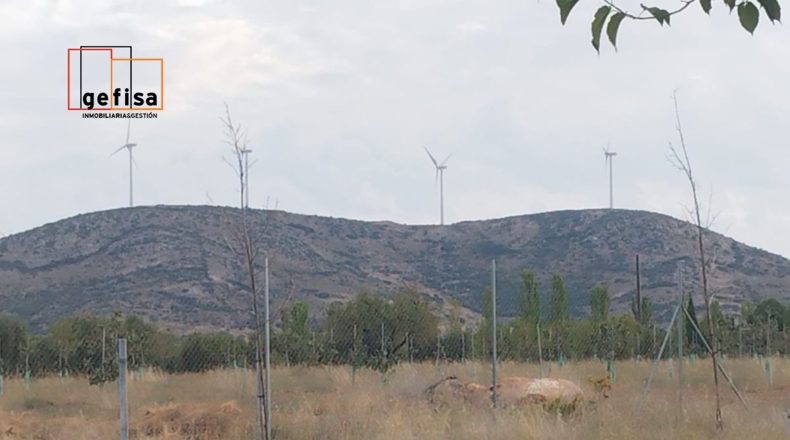 Ciudad Real - San Carlos del Valle - 14000m2