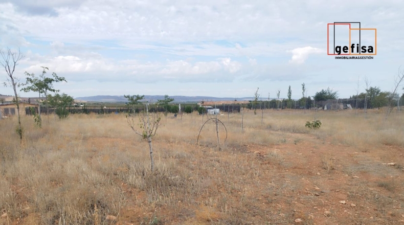 Ciudad Real - San Carlos del Valle - 14000m2