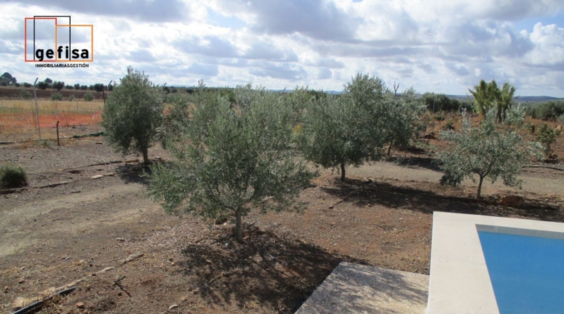 Ciudad Real - Valdepeñas - 5700m2