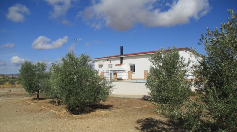 Ciudad Real - Valdepeñas - 5700m2
