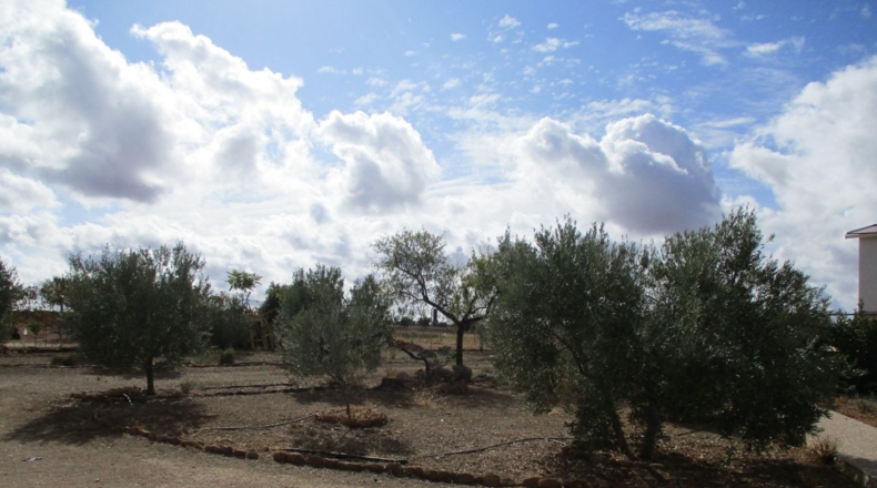 Ciudad Real - Valdepeñas - 5700m2