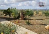 Xalet independent amb terreny en venda a Valdepeñas ref.: TR91999 foto
