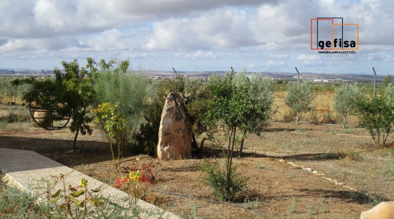 Ciudad Real - Valdepeñas - 5700m2
