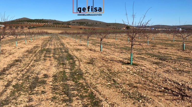 Ciudad Real - Valdepeñas - 10000m2