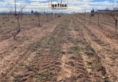 Finca rústica en venda a Valdepeñas ref.: TR100877 foto