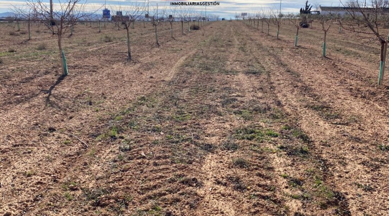 Ciudad Real - Valdepeñas - 10000m2