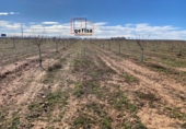 Finca rústica en venda a Valdepeñas ref.: TR100877 foto