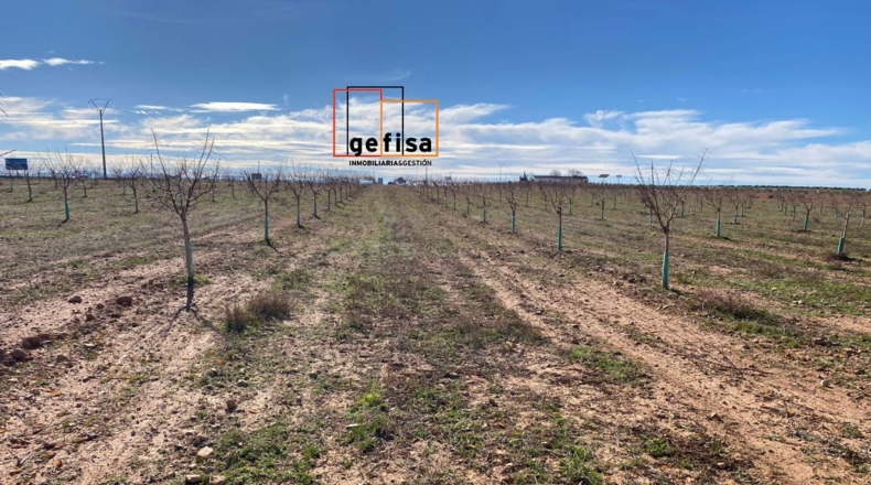 Ciudad Real - Valdepeñas - 10000m2