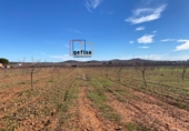 Finca rústica en venda a Valdepeñas ref.: TR100877 foto