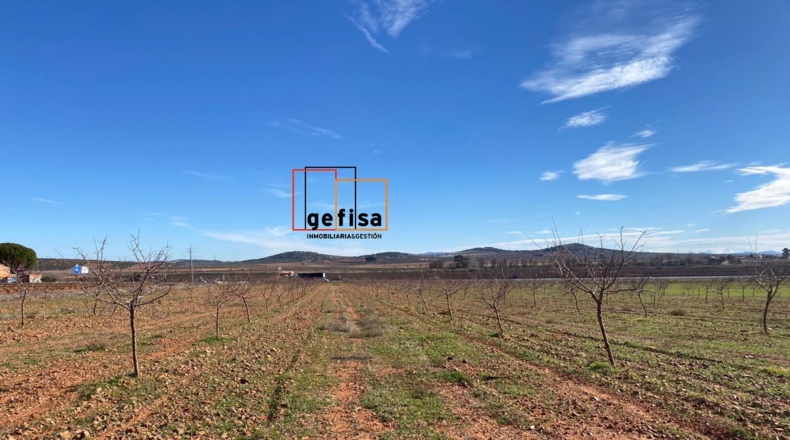 Ciudad Real - Valdepeñas - 10000m2