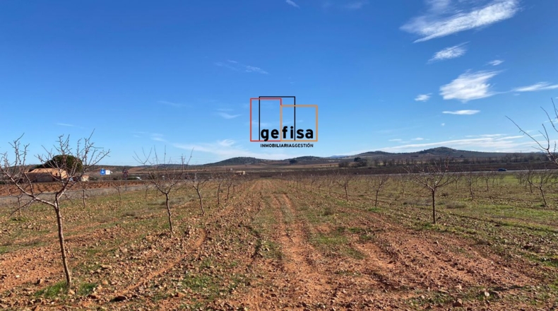 Ciudad Real - Valdepeñas - 10000m2