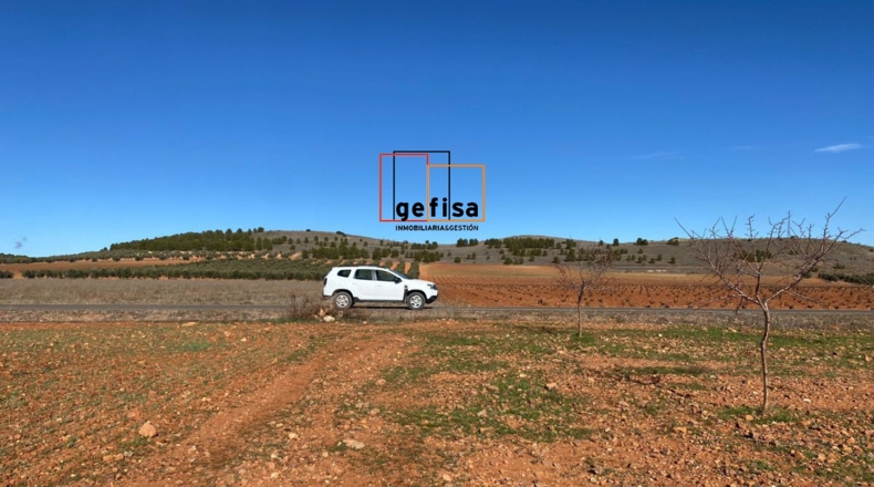 Ciudad Real - Valdepeñas - 10000m2