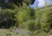 Finca rústica en venda a Valdepeñas ref.: TR209753 foto