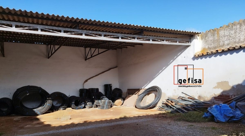 Ciudad Real - Valdepeñas - 275m2