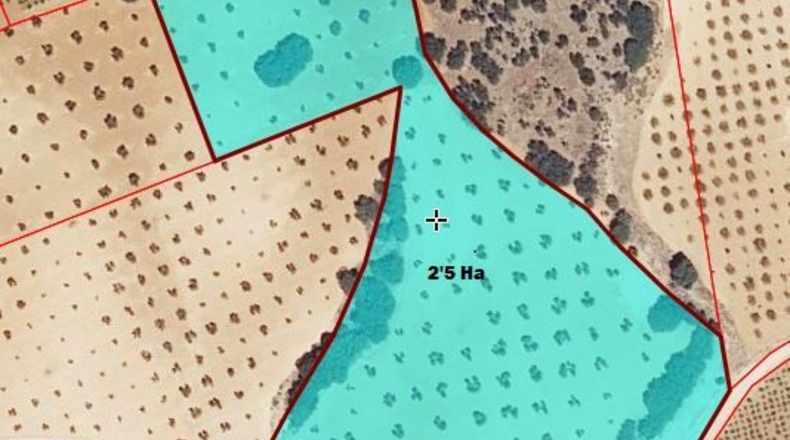 Ciudad Real - Вальдепеньяс - 25000m2