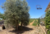 Casa de camp amb terreny en venda a Valdepeñas ref.: TR187533 foto