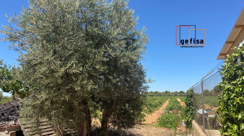 Ciudad Real - Valdepeñas - 35000m2