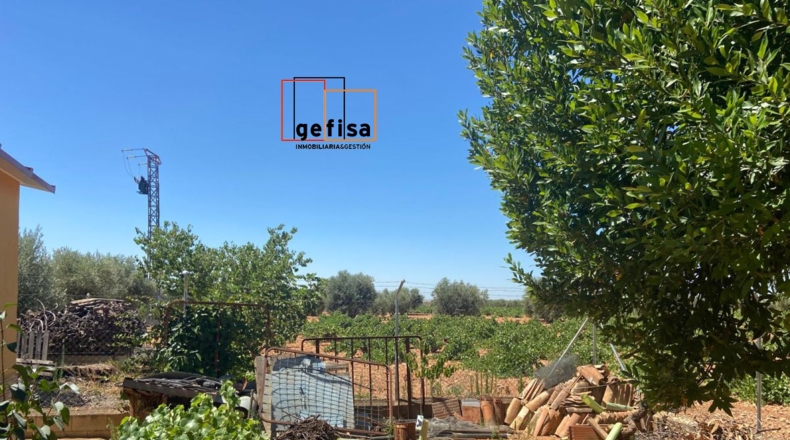 Ciudad Real - Valdepeñas - 35000m2