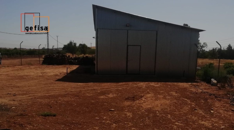 Ciudad Real - Valdepeñas - 6500m2