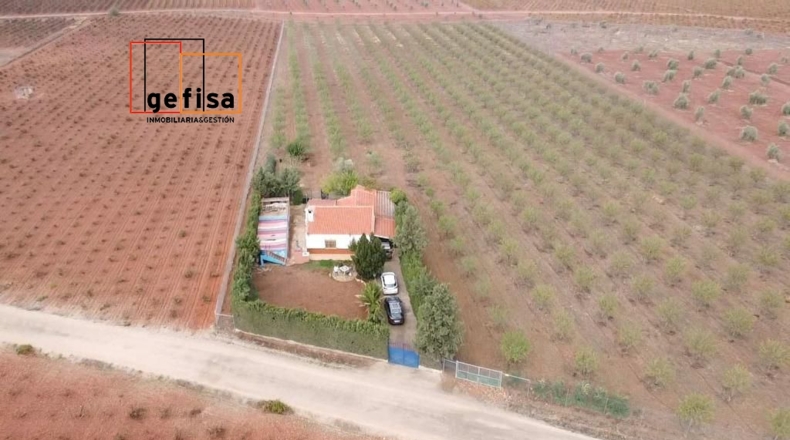 Ciudad Real - Valdepeñas - 17000m2
