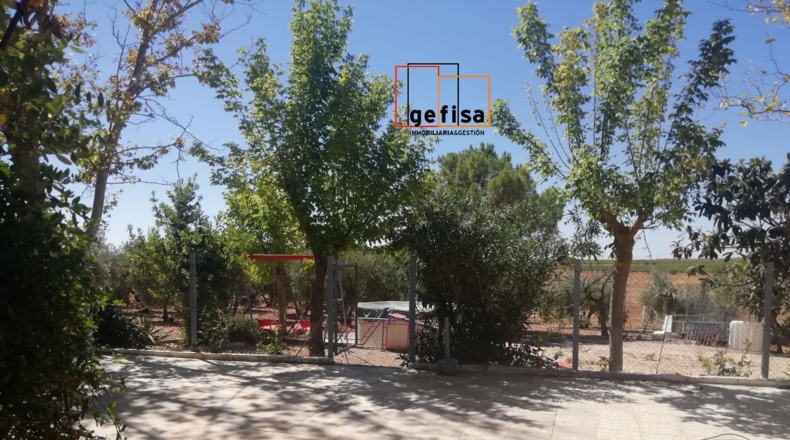 Ciudad Real - Valdepeñas - 3220m2