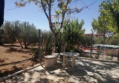 Casa de camp amb terreny en venda a Valdepeñas ref.: TR190991 foto