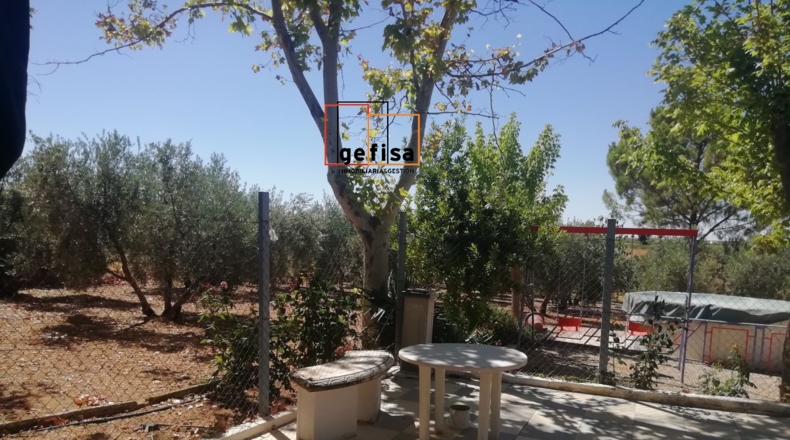 Ciudad Real - Valdepeñas - 3220m2