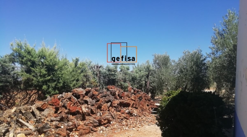 Ciudad Real - Valdepeñas - 3220m2