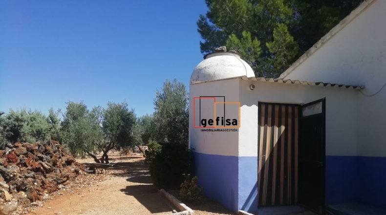Ciudad Real - Valdepeñas - 3220m2