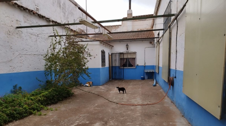 Ciudad Real - Valdepeñas - 1178m2