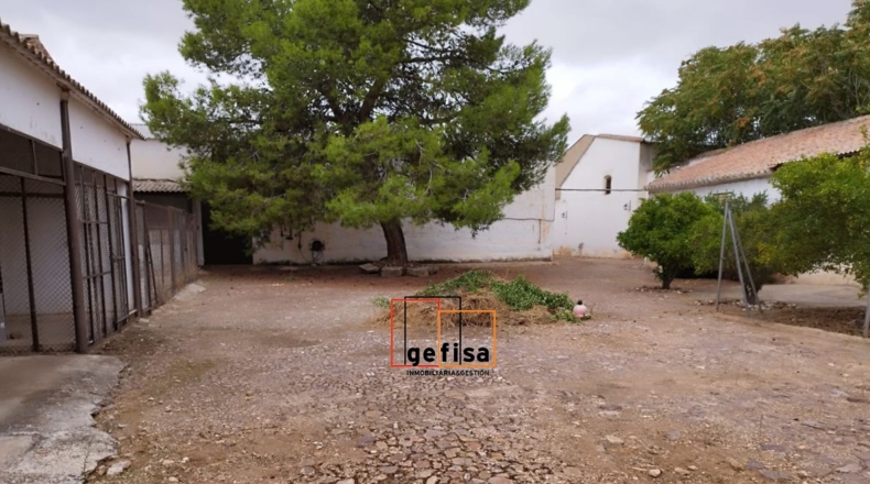 Ciudad Real - Valdepeñas - 1084m2