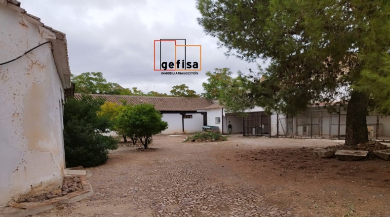 Ciudad Real - Valdepeñas - 1084m2