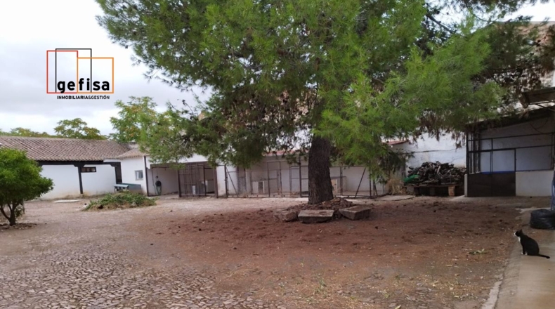 Ciudad Real - Valdepeñas - 1084m2